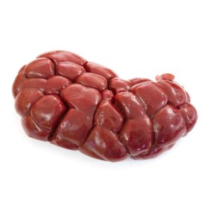Kidney