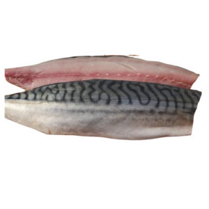 Salt Mackerel