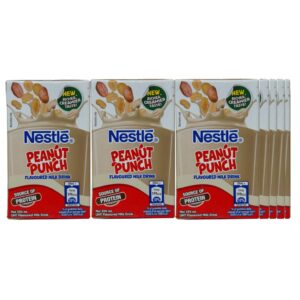 Nestle Peanut Punch 12*250ML